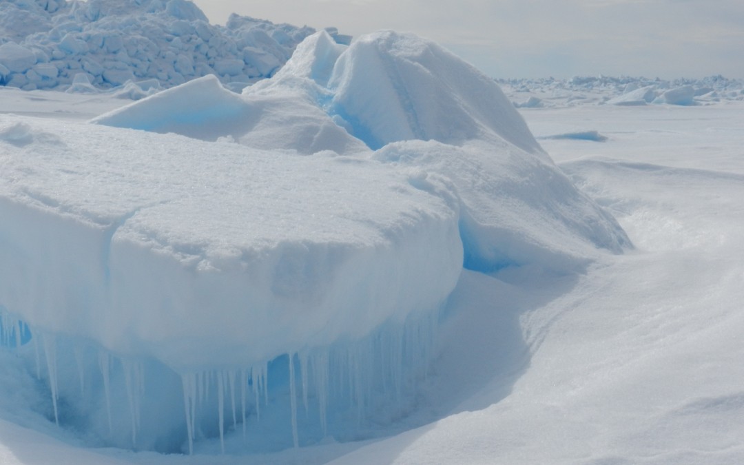 Frozen life!
