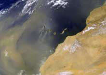 Carbon Flux in the Subtropical North Atlantic